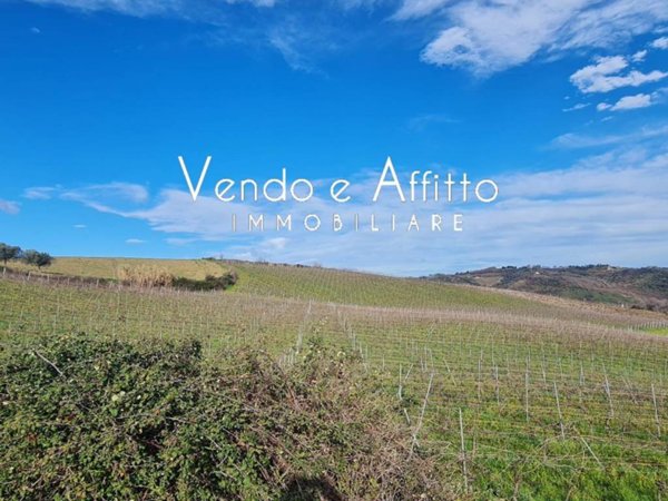 terreno agricolo in vendita a Pollutri
