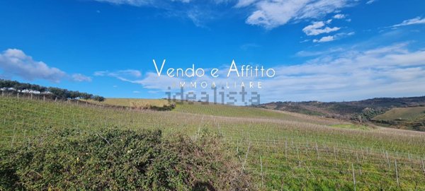 terreno agricolo in vendita a Pollutri