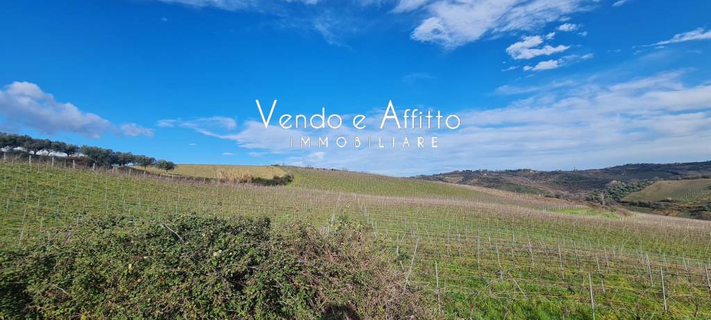 terreno agricolo in vendita a Pollutri
