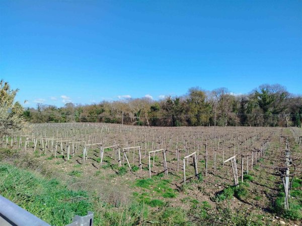 casa indipendente in vendita a Pollutri in zona San Barbato