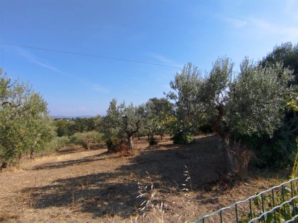 terreno agricolo in vendita a Pollutri in zona San Barbato