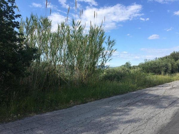 terreno edificabile in vendita a Pretoro in zona Colle Pagnotto