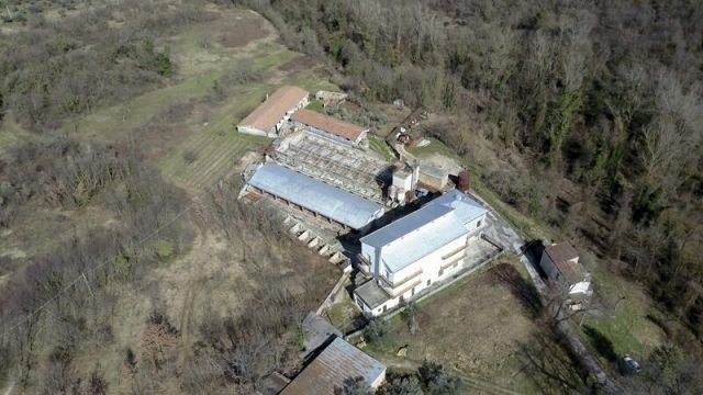 azienda agricola in vendita a Rapino