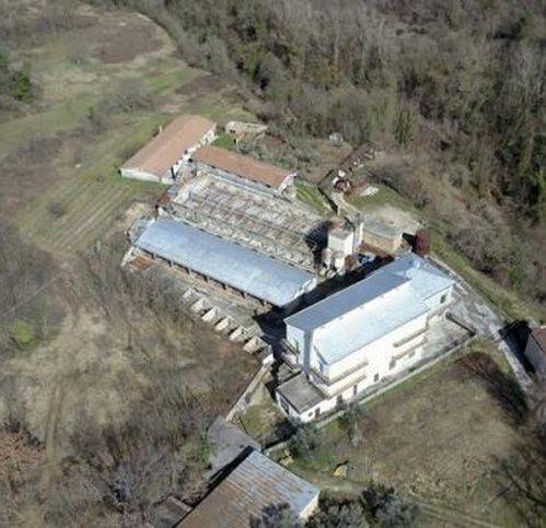 azienda agricola in vendita a Rapino