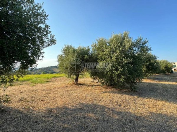 casa indipendente in vendita a Ripa Teatina