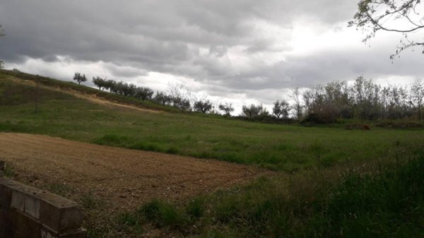 terreno edificabile in vendita a Ripa Teatina