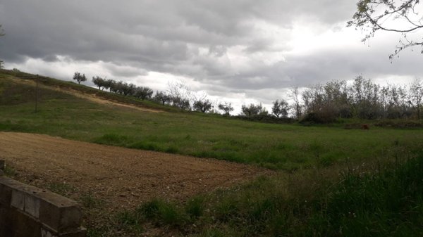 terreno agricolo in vendita a Ripa Teatina