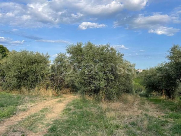 terreno agricolo in vendita a Ripa Teatina