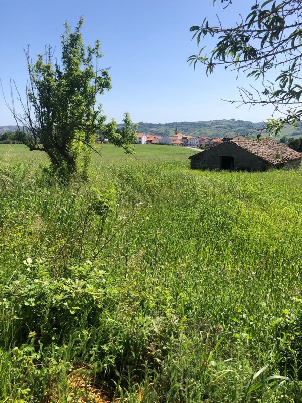 casale in vendita a Ripa Teatina