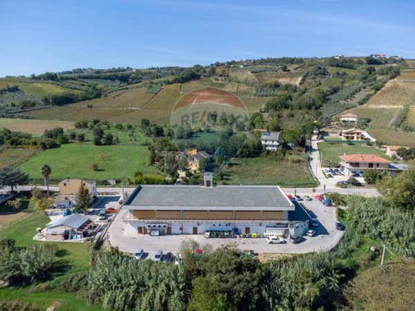 immagine annuncio 0 di 10