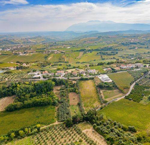 terreno agricolo in vendita a Ripa Teatina in zona Tiboni