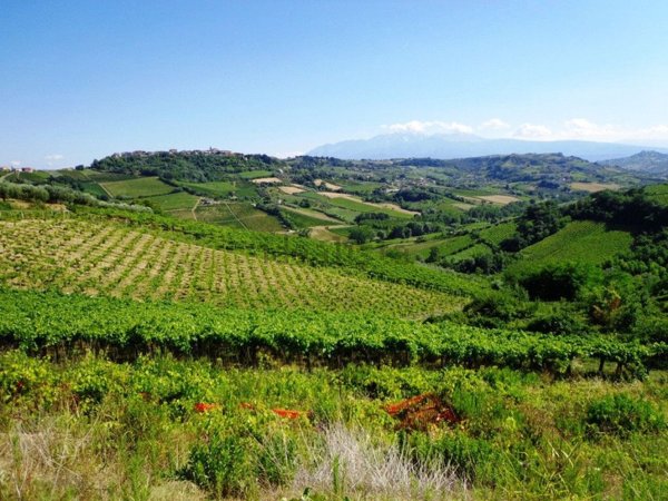 terreno agricolo in vendita a Ripa Teatina in zona Casale
