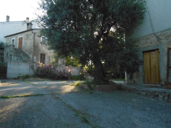 casa indipendente in vendita a Roccamontepiano