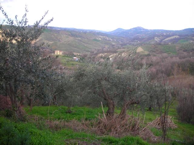 casa indipendente in vendita a Roccamontepiano