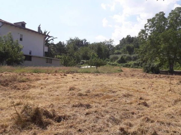 terreno agricolo in vendita a Roccamontepiano