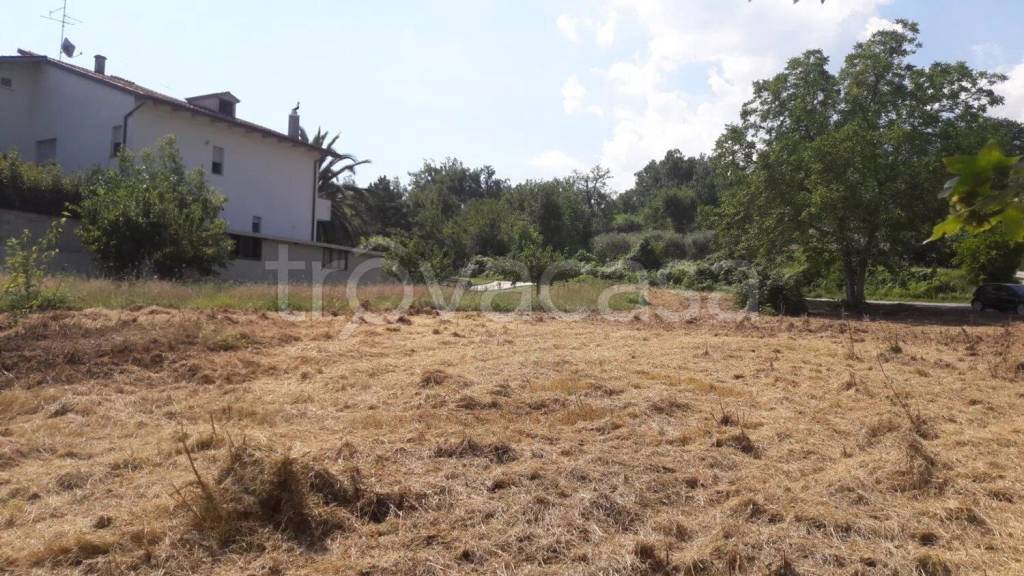 terreno agricolo in vendita a Roccamontepiano
