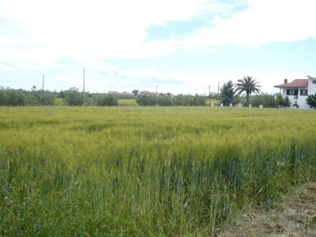terreno agricolo in vendita a Rocca San Giovanni in zona San Giacomo