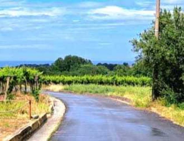 terreno agricolo in vendita a Rocca San Giovanni