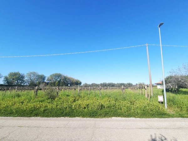 terreno agricolo in vendita a Rocca San Giovanni