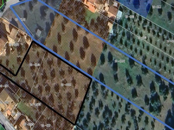 terreno agricolo in vendita a Rocca San Giovanni