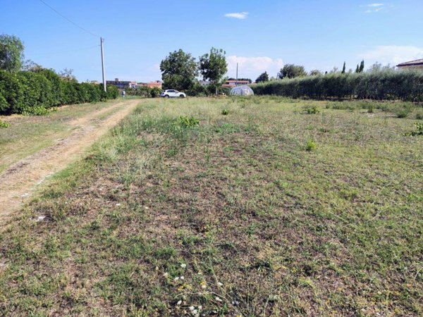terreno agricolo in vendita a Rocca San Giovanni