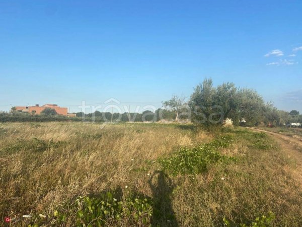 terreno edificabile in vendita a Rocca San Giovanni