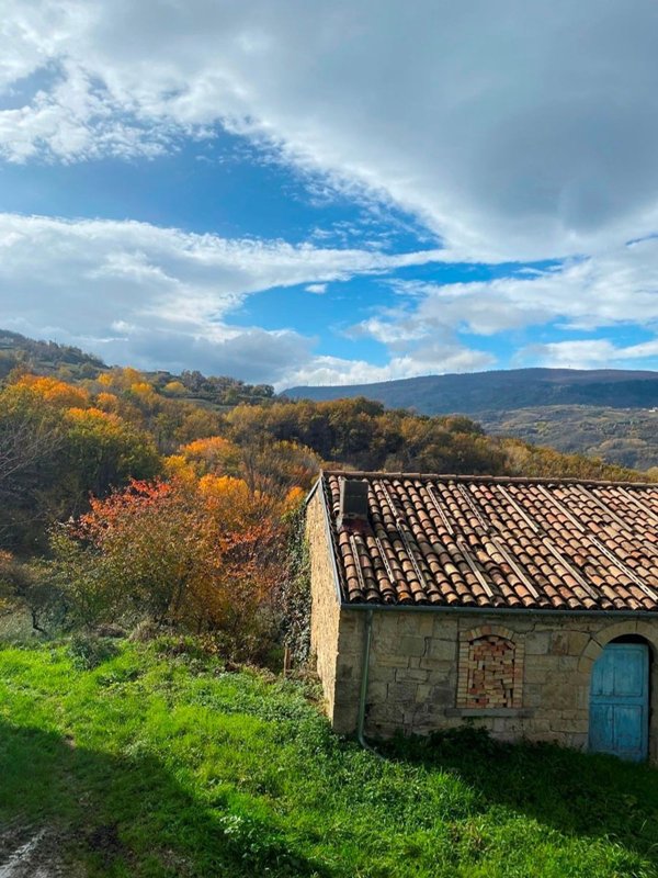 esavano in vendita a Roccaspinalveti