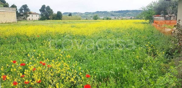 terreno agricolo in vendita a San Giovanni Teatino in zona Sambuceto