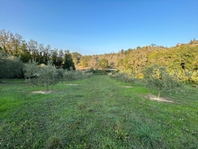 terreno agricolo in vendita a San Giovanni Teatino