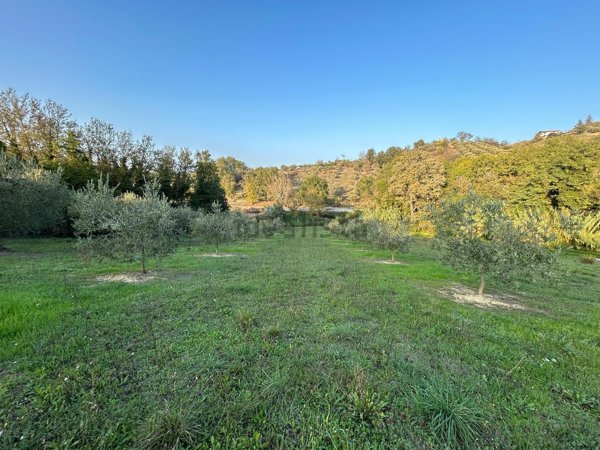 terreno agricolo in vendita a San Giovanni Teatino
