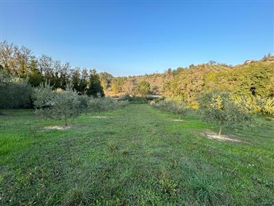 terreno agricolo in vendita a San Giovanni Teatino