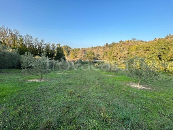 terreno agricolo in vendita a San Giovanni Teatino