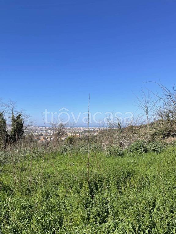 terreno agricolo in vendita a San Giovanni Teatino in zona Sambuceto