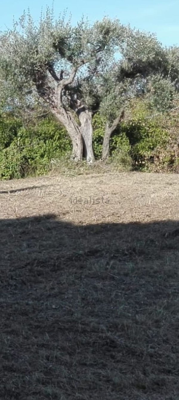 terreno edificabile in vendita a San Giovanni Teatino