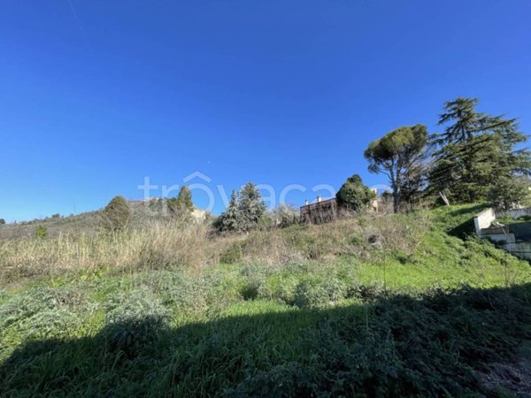 terreno agricolo in vendita a San Giovanni Teatino in zona Sambuceto