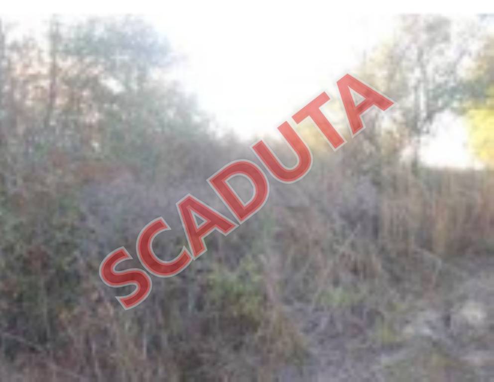 appartamento in vendita a San Giovanni Teatino in zona Sambuceto