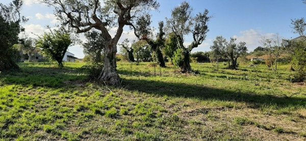 casa indipendente in vendita a San Giovanni Teatino