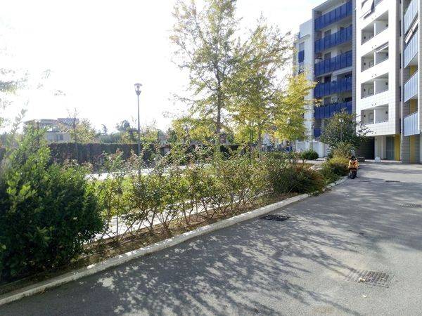 appartamento in vendita a San Giovanni Teatino in zona Sambuceto