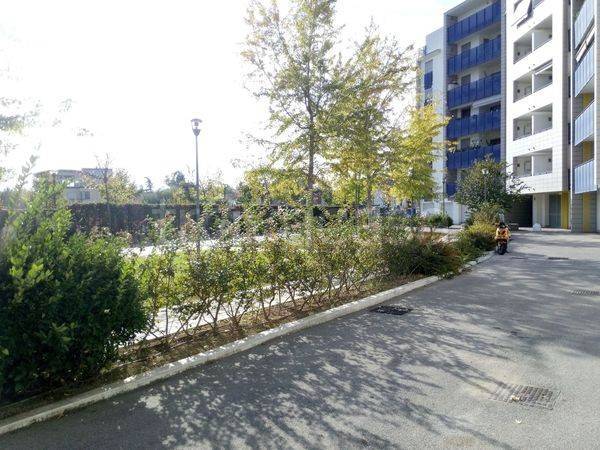 appartamento in vendita a San Giovanni Teatino in zona Sambuceto