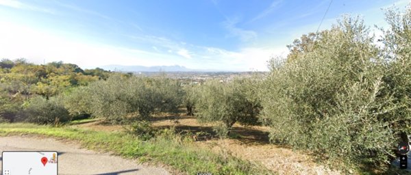 terreno agricolo in vendita a San Giovanni Teatino