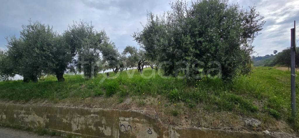 terreno agricolo in vendita a San Giovanni Teatino