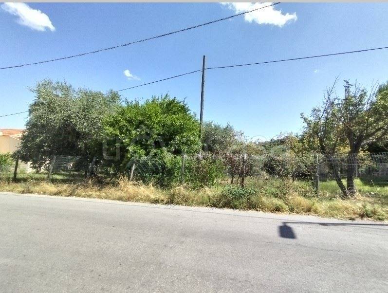 terreno agricolo in vendita a San Giovanni Teatino in zona Dragonara