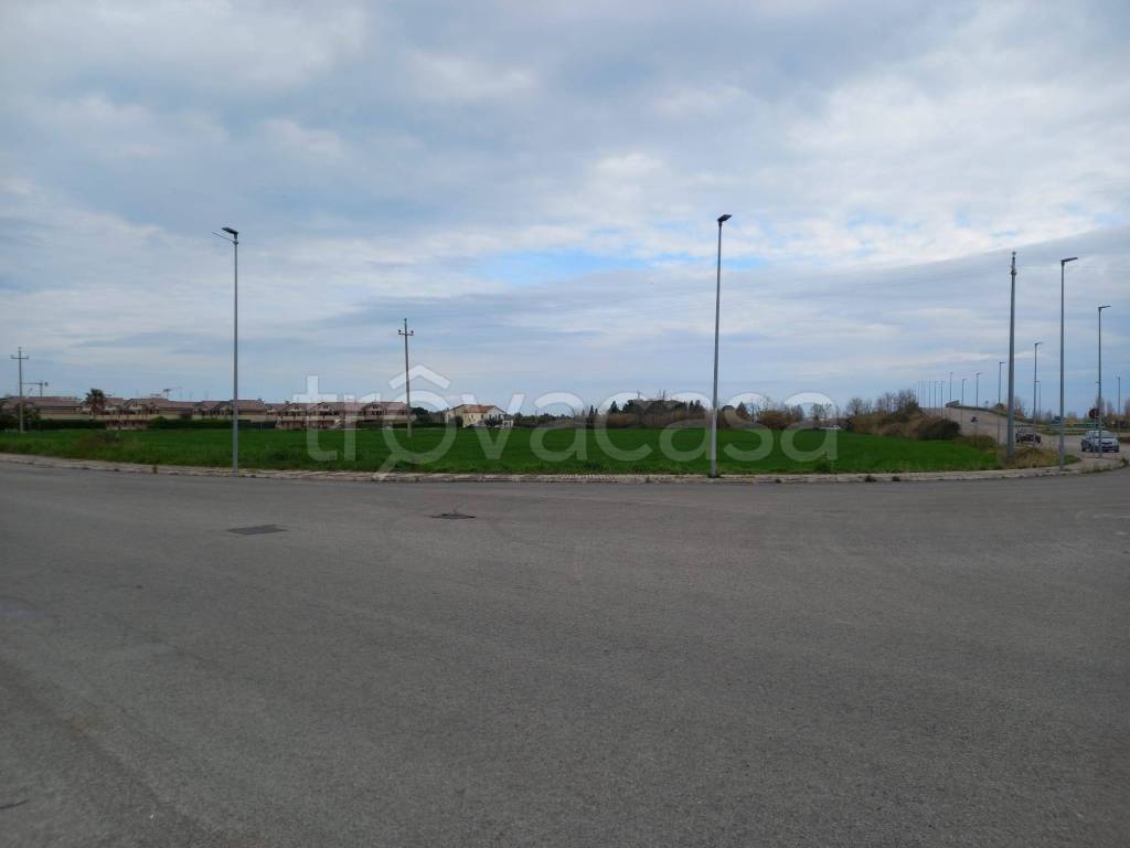 terreno agricolo in vendita a San Salvo