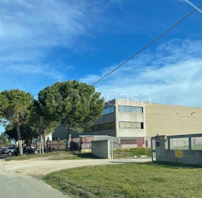 capannone in vendita a San Salvo