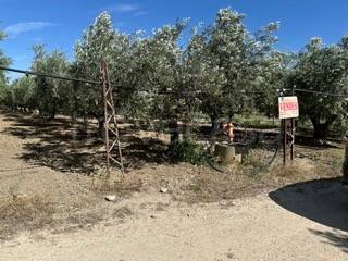 terreno agricolo in vendita a San Salvo