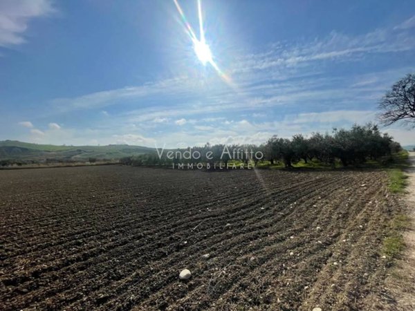terreno agricolo in vendita a San Salvo