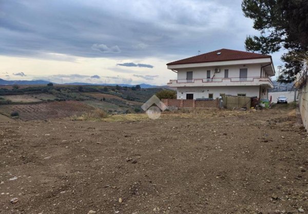 terreno agricolo in vendita a San Salvo