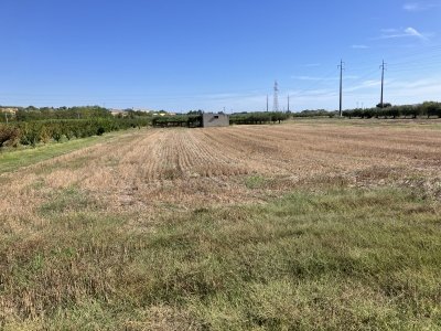terreno agricolo in vendita a San Salvo