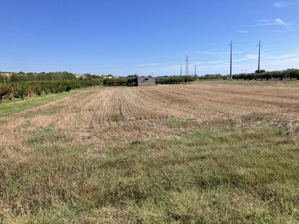 terreno agricolo in vendita a San Salvo