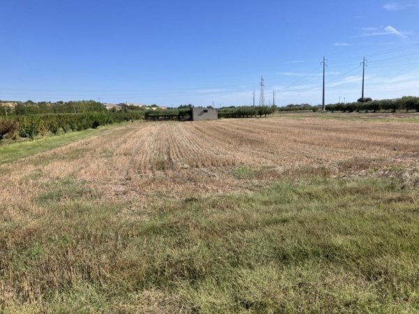 appartamento in vendita a San Salvo